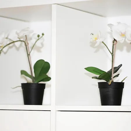 Bellavita Loft - Tricolore Metro Station Apartment Milan